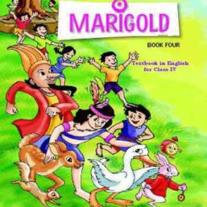 Home 1637569976 class 4 marigold